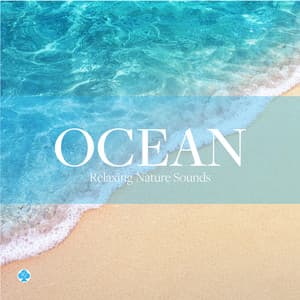 波の音　自然音の癒し - ヒーリング・ライフ