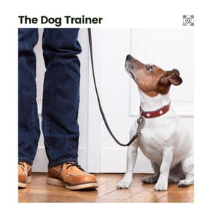 The Dog Trainer - Puppy Music
