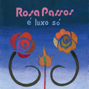É Luxo Só - Rosa Passos