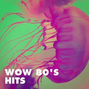 Wow 80's Hits - 60's 70's 80's 90's Hits