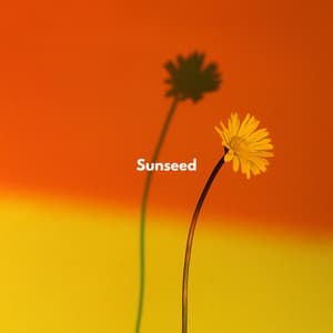 Sunseed: Growing Toward Orange - Rave Optics