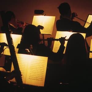 Dreamtime Orchestra: Symphonies for the Night - Charles Anderson