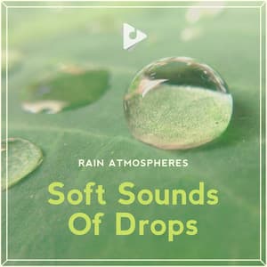 Soft Sounds Of Drops - Rain Atmospheres