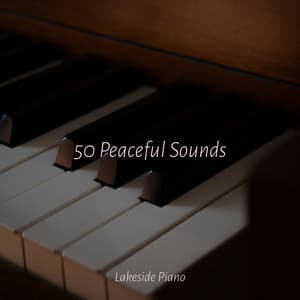 50 Peaceful Sounds - SD