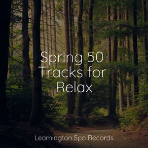 Spring 50 Tracks for Relax - Nature Sounds XLE Library