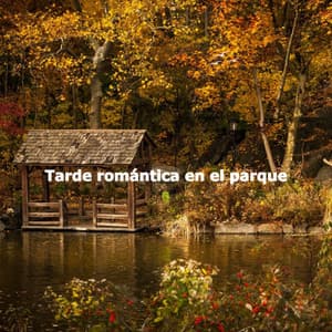 Tarde romántica en el parque - Trabajando desde Casa