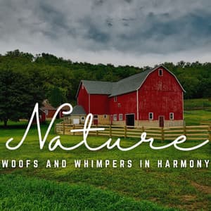 Woofs and Whimpers in Harmony: Sound Journeys - Calm Pets Music Academy