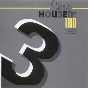Trio - Steve Houben