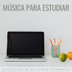 Música Para Estudiar: Suaves Gotas De Lluvia Potencial - Escuela de Lluvia