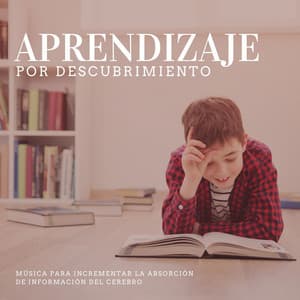 Aprendizaje por Descubrimiento: Música para Incrementar la Absorción de Información del Cerebro - Masajes Spa