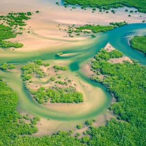 1 Atmosphere: Neural Rivers - Nature Sound Collection