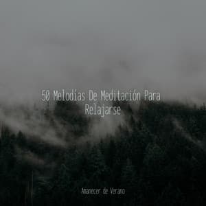50 Melodías De Meditación Para Relajarse - Canciones Para Niños
