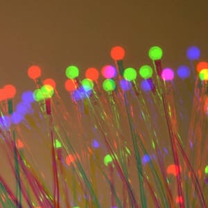 Feelings for Slow Times - Chill Lounge Vibes