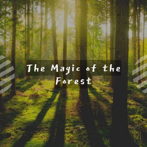 The Magic of the Forest - Music For Relaxing