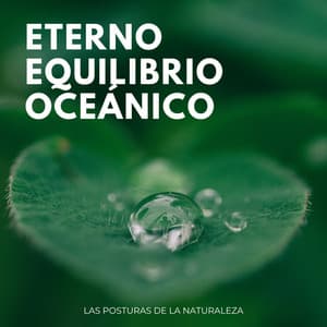 Eterno Equilibrio Oceánico: Las Posturas De La Naturaleza - Grabaciones de la naturaleza