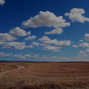 Bedtime Chillout Melodies - Deep Sleep Relaxation