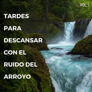 Tardes Para Descansar Con El Ruido Del Arroyo Vol. 1 - Arroyos y niebla