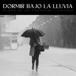 Dormir Bajo La Lluvia: Sueño De Un Paraguas Lluvioso - Sonidos de lluvia para dormir