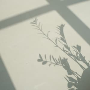 Music for the Working Soul: Drive and Dedication - Music for Work Playlist