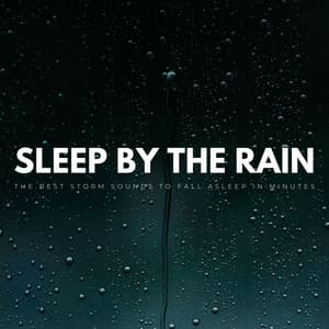 Sleep By The Rain: The Best Storm Sounds To Fall Asleep In Minutes - Rain Noise Sleep