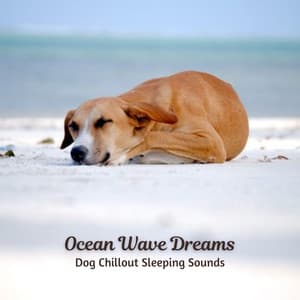 Ocean Wave Dreams: Dog Chillout Sleeping Sounds - Ocean Waves for Deep Sleep