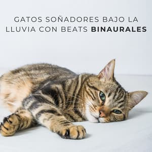 Gatos Soñadores Bajo La Lluvia Con Beats Binaurales - Estados de ánimo binaurales