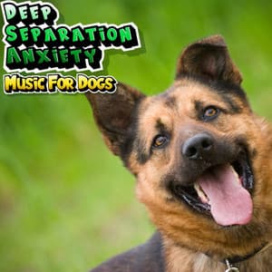 Soothing Dog Music For Relaxation Stress Relief & Sleep - Deep Separation Anxiety Music For Dogs