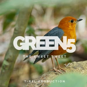 The Sweet Tweet - Green 5