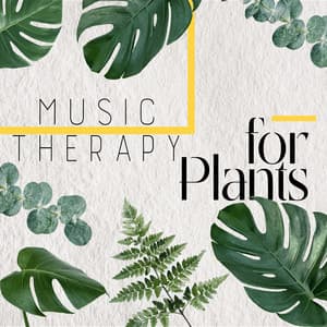 Music Therapy for Plants - Relaxing Music Therapy