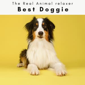 1 Best Doggie - The Real Animal relaxer