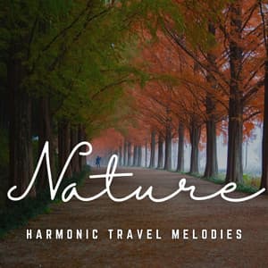 Acoustic Vistas: A Melodic Journey - Imaginacoustics