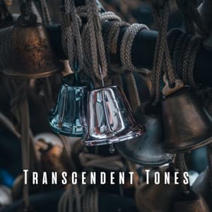 Transcendent Tones: ASMR Sounds for Restful Meditation - Bugghist Meditation Music Set