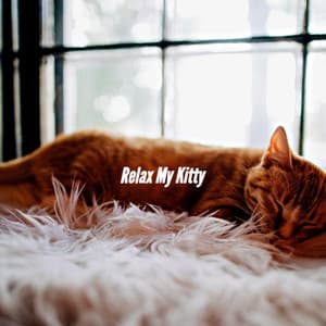 Relax My Kitty - Thiago Sanchez Jazz Quartet