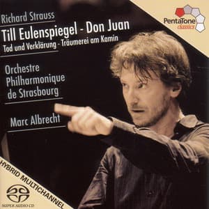 Strauss, R.: Till Eulenspiegel / Don Juan / Tod Und Verklarung / Intermezzo: Träumerei Am Kamin - Richard Strauss