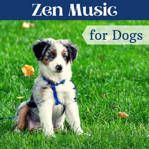 Zen Music for Dogs - Dog Whisper