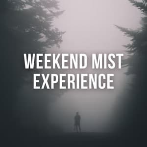 Weekend Mist Experience - Weather and Nature Recordings