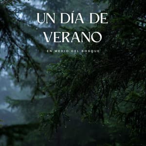 Música Para Bebés: Un Día De Verano En Medio Del Bosque - Bosque ambiental