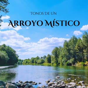 Tonos De Un Arroyo Místico - Arroyos y niebla
