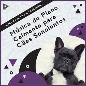 Música de Piano Calmante para Cães Sonolentos - Hora da Música do Cachorro