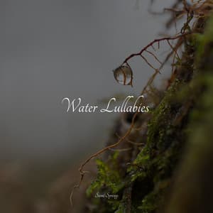 Water Lullabies - Binaural Creations