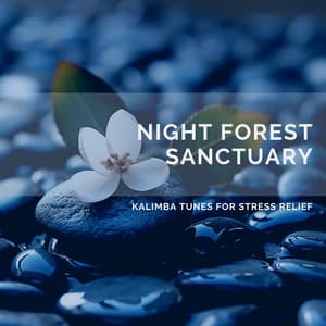 Night Forest Sanctuary: Kalimba Tunes for Stress Relief - Quarantine Meditation