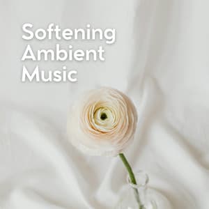 Softening Ambient Music - Meditation