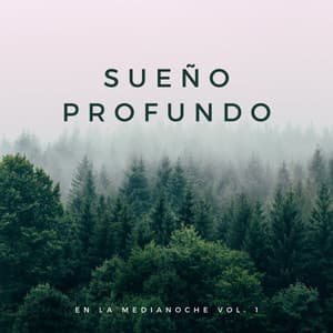 Sueño Profundo En La Medianoche Vol. 1 - Musica para Acostarse