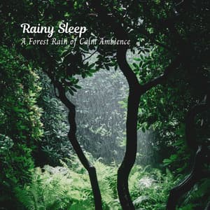 Rainy Sleep: A Forest Rain of Calm Ambience - Rainfall Sound for Sleep