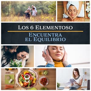 Los 6 Elementos - Encuentra el Equilibrio, Amor Meditación, Bienestar, el Trabajo, la Familia, la Buena Comida & Buena Música - Meditación Budista Academia