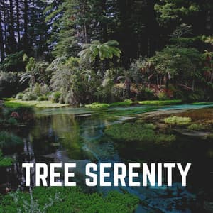 Tree Serenity - Natural Sounds