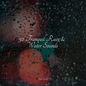 50 Tranquil Rain & Water Sounds - Zen