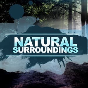 Natural Surroundings - Nature Ambience