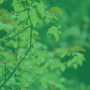 Alluring Trumpet Solo - Ambiance for Unique Thoughts - Vancouver Jazz Band