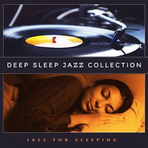 Deep Sleep Jazz Collection - Jazz For Sleeping